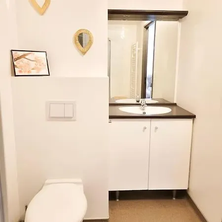 Apartment Beau Calme Proche Part-dieu Et Centre Lyon Villeurbanne